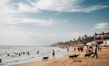 Goa - Beach Paradise