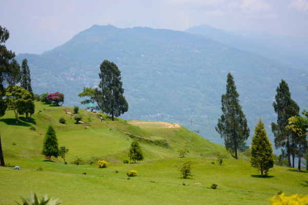 Sikkim & Darjeeling Tour